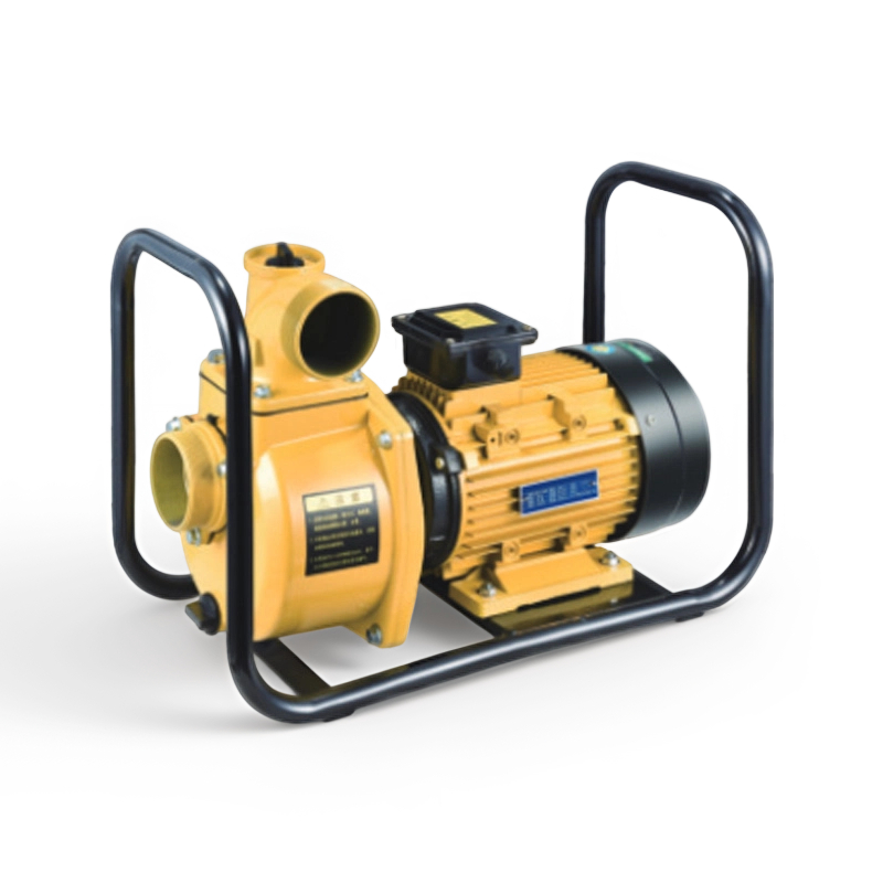 DSU Series High-Flow Electric Pump