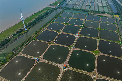 Aquaculture
