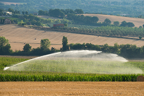 Farmland Irrigation